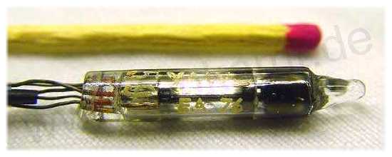 meine kleinste R�hre - eine EA76 von Valvo